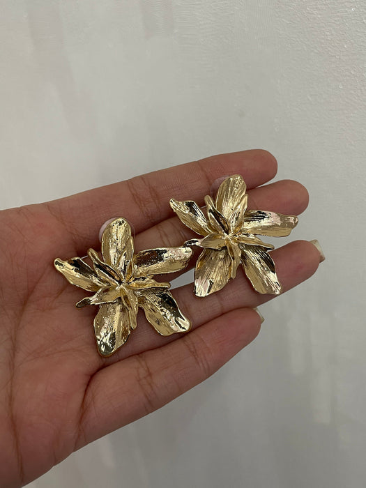 Floral Fusion Earrings Combo